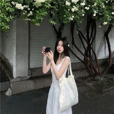 蜂蜜与四叶草